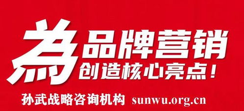 品牌智勝之道 當(dāng)專業(yè)策劃攜手孫武戰(zhàn)略，以500強(qiáng)定位案例鑄就市場輝煌