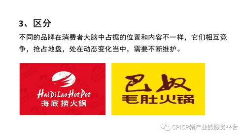 肖一刀 從零起步，匠心打造豬肉品牌的突圍之路